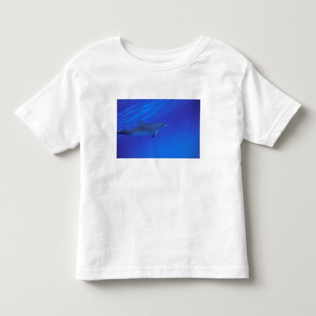 T-shirts golfinho pintado do Caribe, Bahamas (Frente)