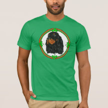 Gordon Setter St Patricks
