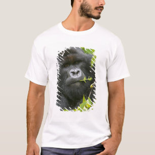 T-shirts Gorila-da-montanha-de-costas-prateadas