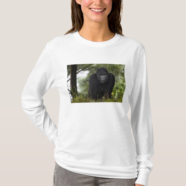 T-shirts Gorila da Montanha e Silverback (Frente)