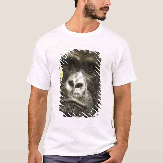 T-shirts Gorila-da-montanha, Gorilla beringei beringei, (Frente)