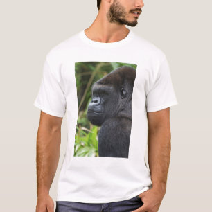 T-shirts Gorila-de-terra-baixa-de-costas-prateadas, Gorila 