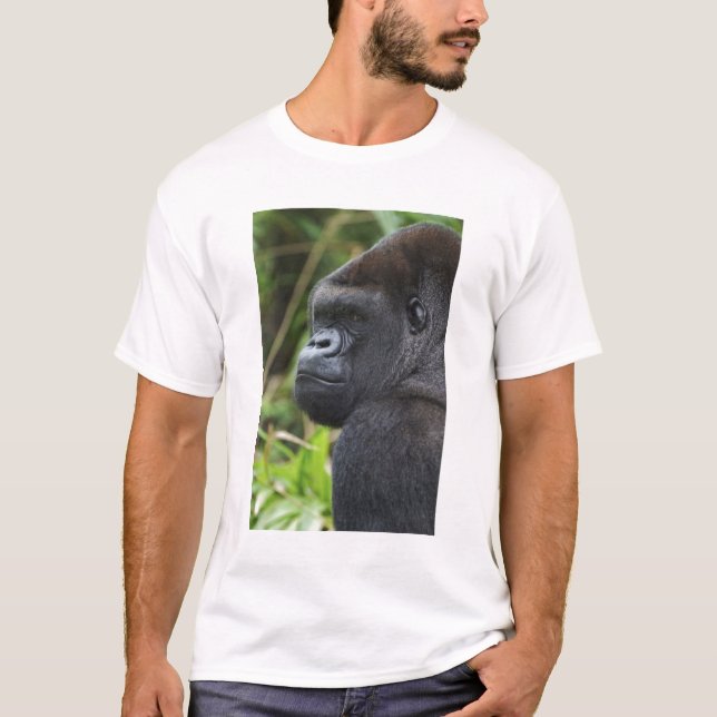 T-shirts Gorila-de-terra-baixa-de-costas-prateadas, Gorila  (Frente)