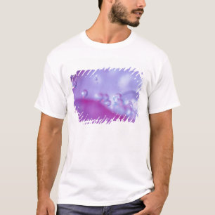 T-shirts Gotas de orvalho em pétala de flor abstrata. Crédi