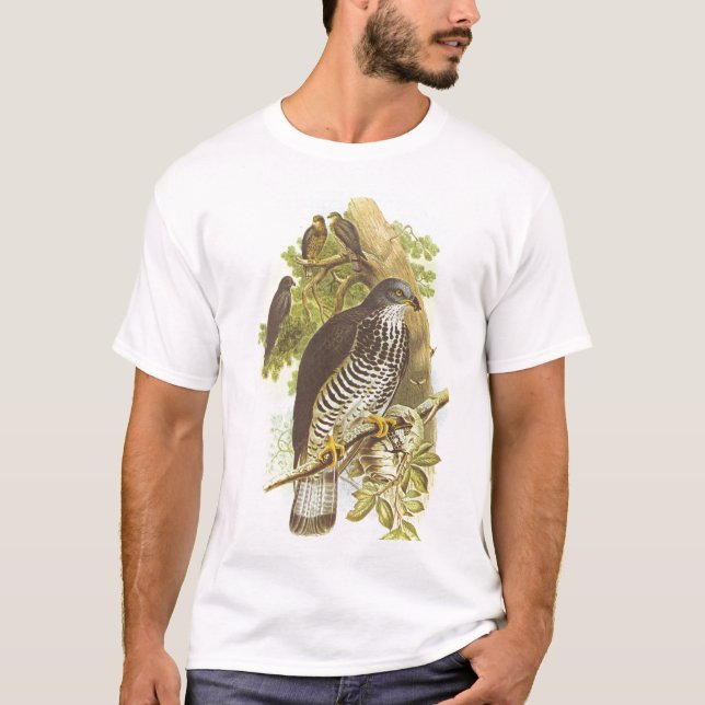 T-shirts Gould - Buzzard de mel - apivorus do Pernis (Frente)