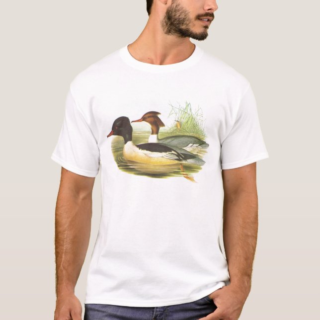 T-shirts Gould - Mergus merganser (Frente)