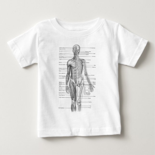 T-shirts Gráfico de Anatomia Humana (Frente)