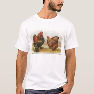 T-shirts Graham - Frangos de Cochin Partridge