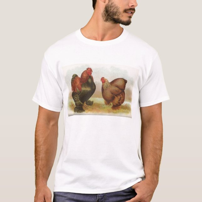 T-shirts Graham - Frangos de Cochin Partridge (Frente)