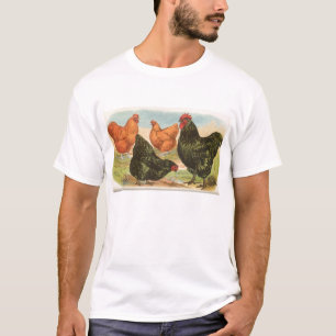 T-shirts Graham - Orpington Chickens