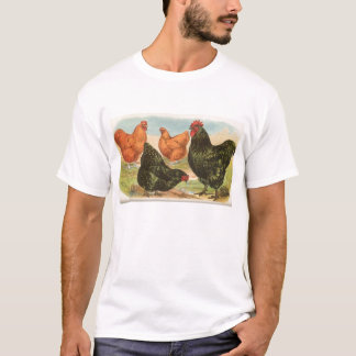 T-shirts Graham - Orpington Chickens