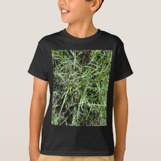 T-shirts Grama