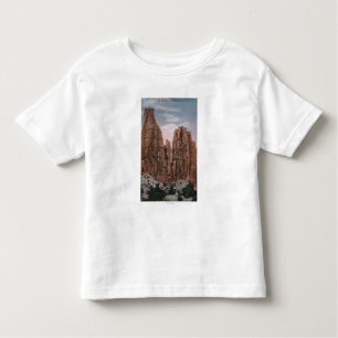 T-shirts Grand Junction, CO - vista do monumento nacional