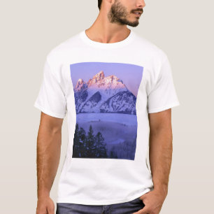 T-shirts GRAND TETON NATIONAL PARK, WYOMING. EUA. Nevoeiro 
