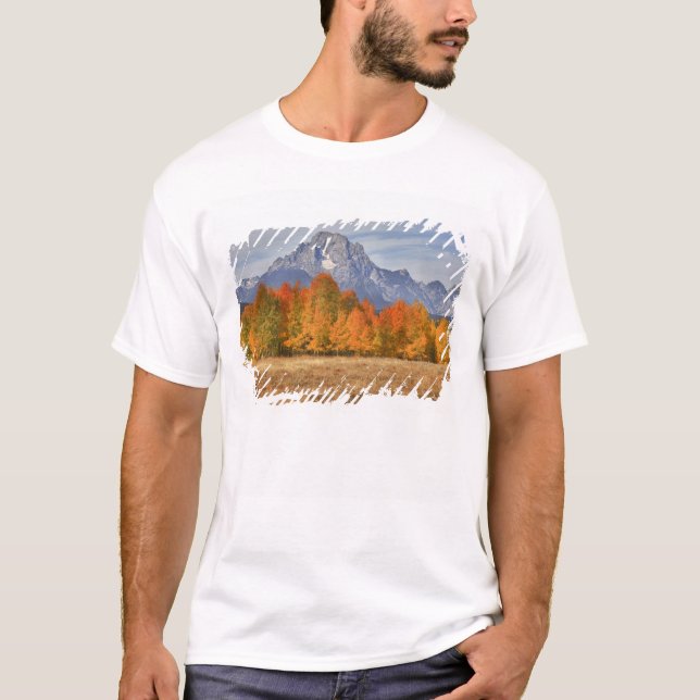 T-shirts Grand Teton NP, Mount Moran e aspen (Frente)