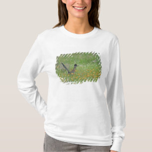 T-shirts Grande Roadrunner, Geococcyx