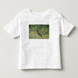 T-shirts Grande Roadrunner, Geococcyx californianus,
