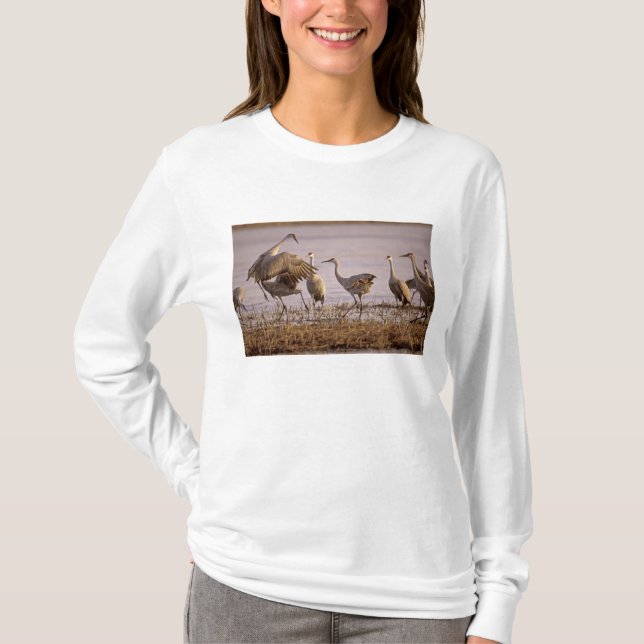 T-shirts Grou-lagartos (Grus canadensis) Platte (Frente)