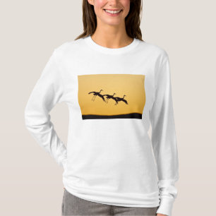 T-shirts Grouse Grouillac chegando ao pôr do sol