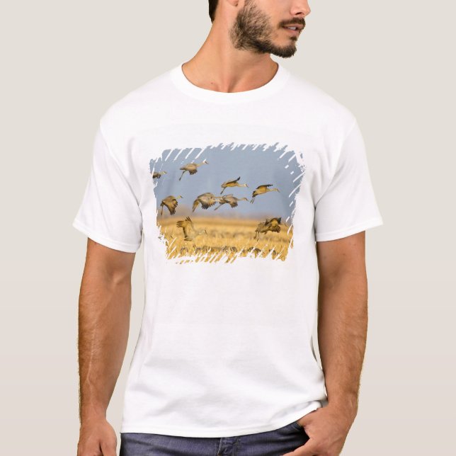 T-shirts Gruas-sanduíche terrestres em campos de milho (Frente)