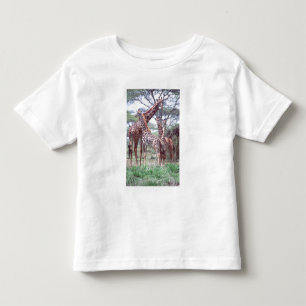 T-shirts Grupo de girafas ou manada com filhotes, Giraffa