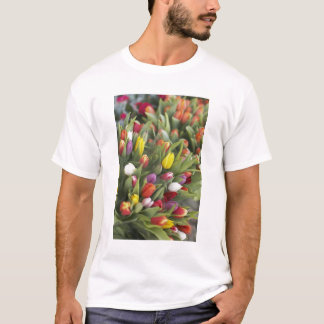 T-shirts Grupos de tulipas coloridas