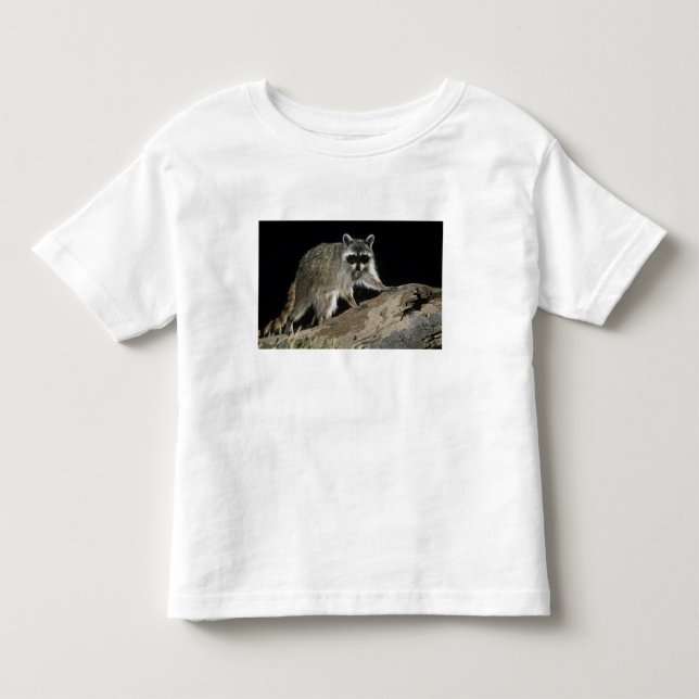 T-shirts Guaxinim-comum, Procyon lotor (Frente)