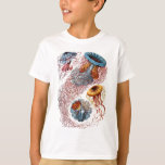 T-shirts Haeckel Jellyfish<br><div class="desc">Vintage Haeckel ilustra vários tipos de águas-vivas</div>