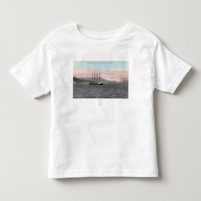 T-shirts Harborview da baía e do Mt. Tamalpais (Frente)