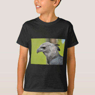 T-shirts Harpy Eagle 2.JPG