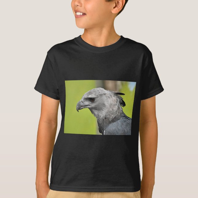 T-shirts Harpy Eagle 2.JPG (Frente)