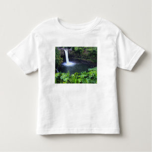 T-shirts Havaí, Ilha Grande, Hilo, Rainbow Falls, Lush