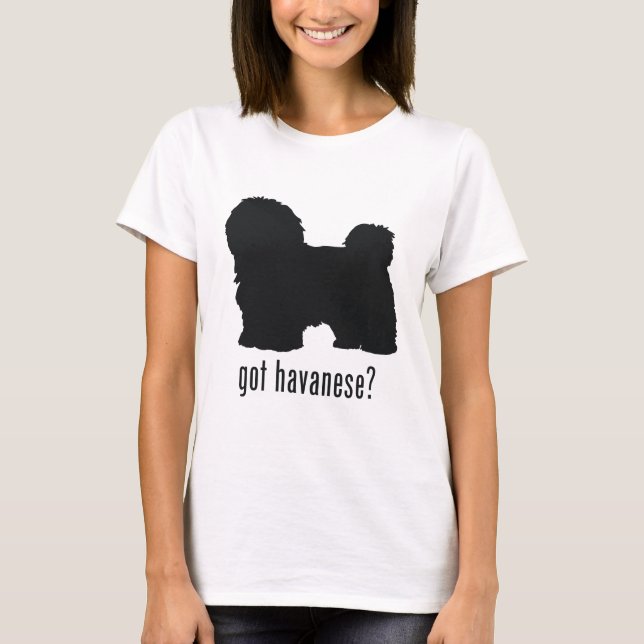 T-shirts Havanese (Frente)