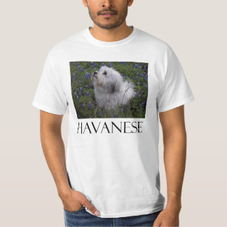 T-SHIRTS HAVANESE
