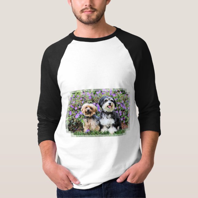 T-shirts Havanese - Lola & Yorkie - Molly (Frente)