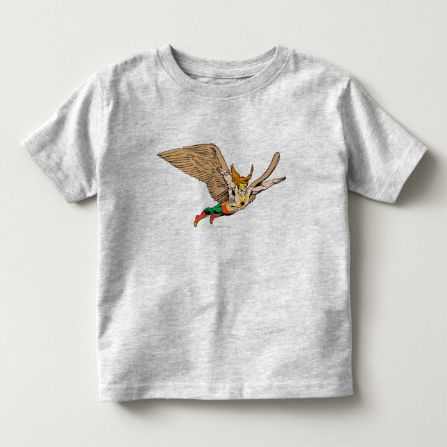 T-shirts Hawkman Flies (Frente)