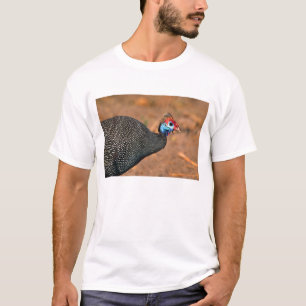 T-shirts Helmeted Guiné Fowl (Numida meleagris). África,