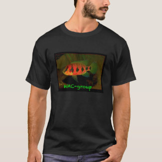 T-shirts Hemichromis elongatus