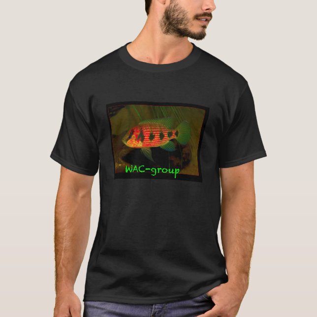 T-shirts Hemichromis elongatus (Frente)