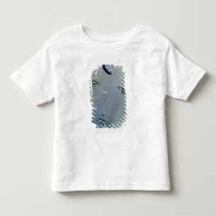 T-shirts Hidroavião, 1933