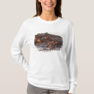 T-shirts Hipopótamo, Hippopotamus amphibius, Lago