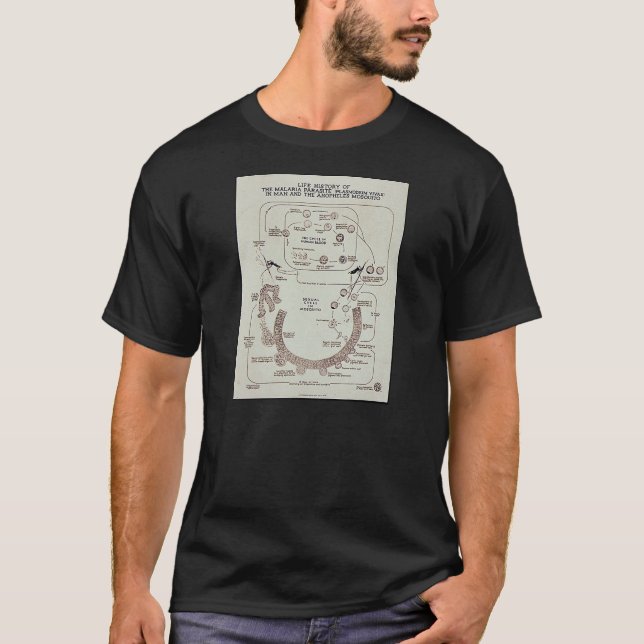 T-shirts História de vida do parasita de malária (Frente)