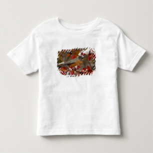 T-shirts Homem Americano Robin no Black Hawthorn