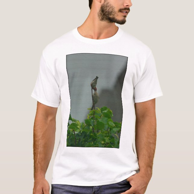 T-shirts Housefinch Courthip #1 (Frente)