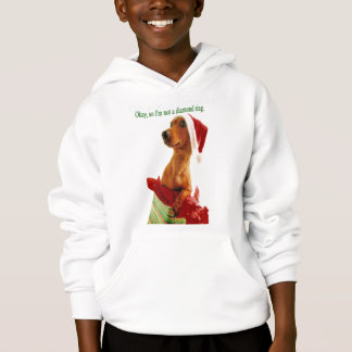 T-shirts Humor do Natal