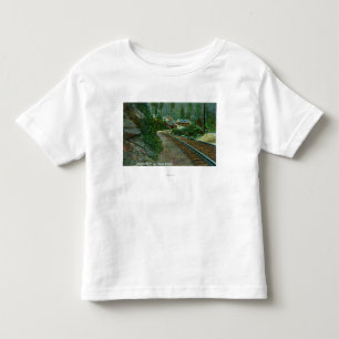 T-shirts Ideia exterior da retirada de Shasta dos caminhos