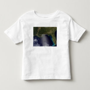 T-shirts Ideia satélite do estado unido do sudeste 2