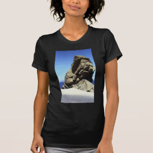 T-shirts Ilha Catalina papais noeis