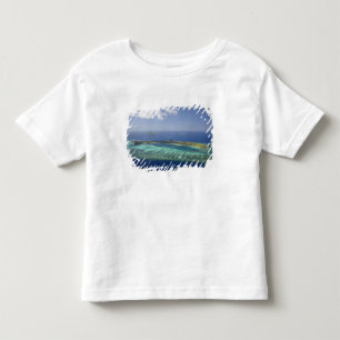 T-shirts Ilha Mana e recife de coral, Ilhas Mamanuca