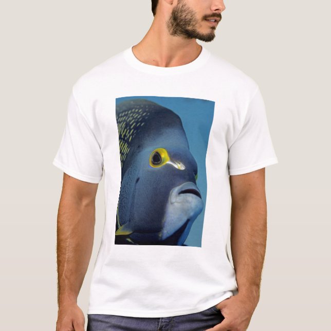 T-shirts Ilhas Cayman, Angéus Franceses Pomacanthus (Frente)